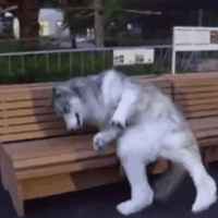 72ed7cdb124f852751787dd842208ad51e2f7dd4