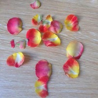 E7827c103cb036562ad4fe301c3d3f05ab88a0b9