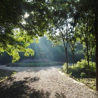 Ecf6650c58b052f388c4444833f4c04313270b86