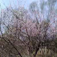 0e957738174031ad6208ee4cd014e49e8906d06b