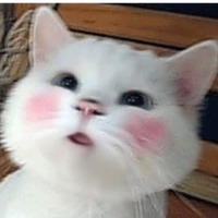 B11b76600bc70ffb8c78c8cef133545a4022bb6e