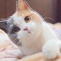 1ac09541c95e40e4b965f2997769d7bb48c98b43