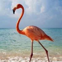 8669ad3295a5b9649fbc8c1c1403b6c86755d0c9