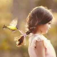 6e92914ce306b4d6f36f8bfe785bbc1dc0a9d527