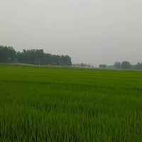 4a59512328199e59133a4c01b9c2d53bdec0e85b