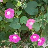 521496d98559c6d89a91f6333f9ae695d71cad43