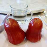 57026ba7d79bbb234a3b6e1d81728f79c7be6d36