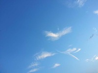 Aa5e05e9842fed493bdc35b02539cbb60ae3a03e