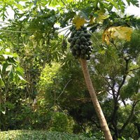 064c230984f34d372e5f6fcac88d1472e5a85b04