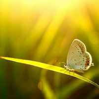 5f3a2ec4e8a41af397eec4b8547e0e2c6bfd7707