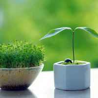 B008c082c9dfc31620281a8adbc3586a81844e3b