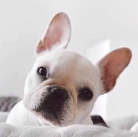 Ab35f07a152e822599b01a76031f70ed7ef7ee5b