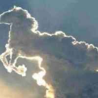 Baeb4e3d5dd55322d6cc1466f743a0e61bbacc9f