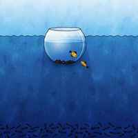 0e4e27825d14505870c2e4b01c2b3d6f6f4b028e