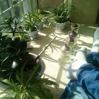 B579493874cb94375294a0d679e5361be2c4a1f9