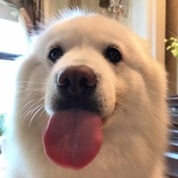 1d3336abba6989f3ac75983719a18a62a78fb8d0