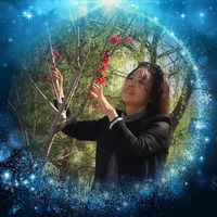 3fc82ba377a0c137ed4f47a26b3d33e8862ede14