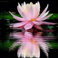 5eb46b762e89f8a7b34cf21339ea72945533641f