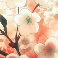 D60c244e5e3b12a3a6f4a8477be16a363cf778d1