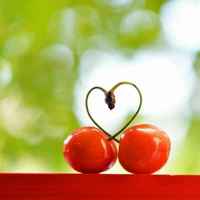 9d0028d32641139407c2d25e308738504675b68e