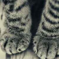 65f64fc0f1f36ac77124525a4719200fc1797265