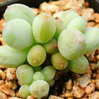 88d5653c493dee51786a12a591b57dc0cbb9023e