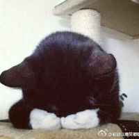 3ad7c742ffe6f17f7b4b112656402f2f94c20dfd