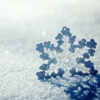 6f9415151211eea44d0ce7ee51e1b542bdeaeaae