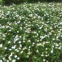 Feb536e06f2519a3e64bd986db923bfb3f7340fd