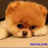 14775b87b0656ec614b0e9f24a69ff5fded74d0d