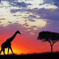 36894b1e990e90e2ddce2397e984c2ae4457cf56