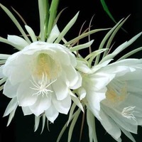 6eeb722e06c1089654f178b4475e51bab9c3b0ca