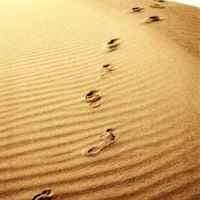 Ea6847ff6524ca86a5c5fb239cfcee4c0dcee505