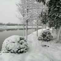 775b10aab9a4c7871181acf17da7e20d0a380228