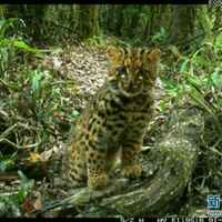 E8f2bee3eb944ddd315b51b7f8a862a370431751