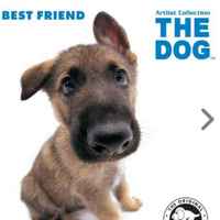 60ca58c232a5c42ad24818259223f4dda5129d43