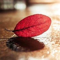 Eb34dd3b9f0517d360d8d72d67e8d1e248628d4d