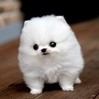 1f264bef9a2af77031b3dc86bb5784a0a4a4a376