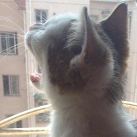 A1d9395a61c6c1f00f495d2efd20c5f7d9cee6cc