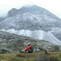 C49bd3e4636c4d50394610c9c543ee7b9c311967