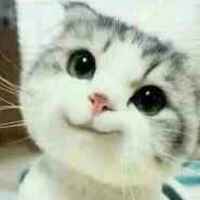 Ec3719c15657065f31acf8688b2a5fe648ec405a