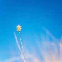 E1ba4d3a31692cd24842a547328a9ecd44ba4645