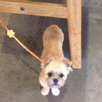 366d8ee22e35e6c5e5cc4de2f194f130bf88592c