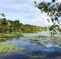 Cf8b40cecf8020f59b67dc9977a81c42a9f08089