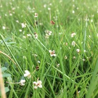 D5d39a723a9588f1d7b0ce7a8fb1ef186e35b5b6