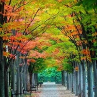 46864a7df81800ed76f7bb2ebc94cb9b3eaa9518