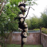 09e773aba2bc8371bc6ebaacaacfecb89deccd69