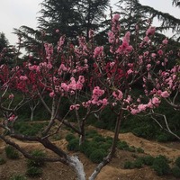 41a511550512ef2796456933d9125f9240481683