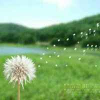 D7bd10072ea15788e438fd8c44c502c3f4b5fd47