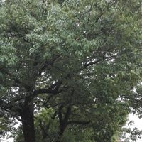 C290e42d2e51fe9b1143ec7781bcdcf883d28f05